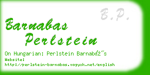 barnabas perlstein business card